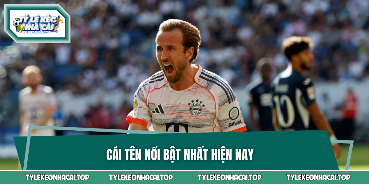 Cái tên nổi bật nhất hiện nay